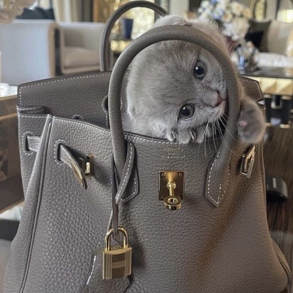 🔥 UNLISTED INVENTORY 🔥 - Picture 3 of 10